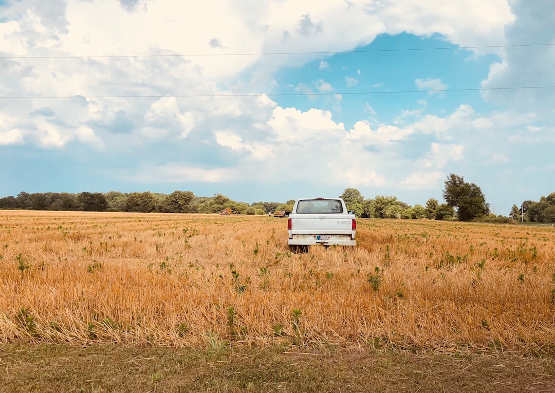 Photo Ford truck